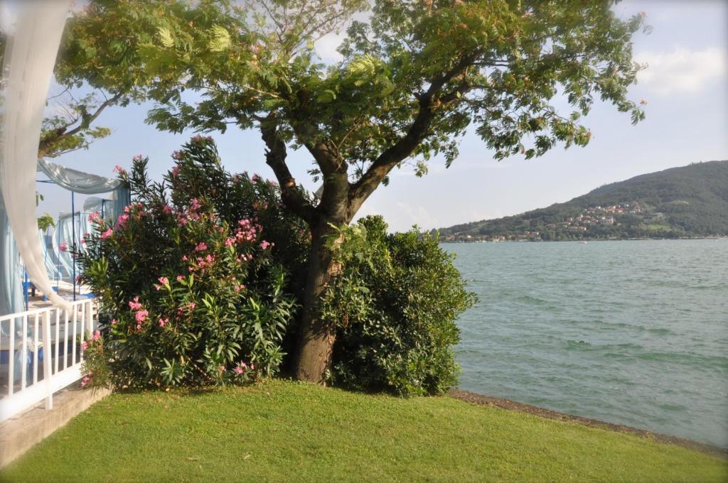 Beach Hotel Eurovil Predore Bagian luar foto